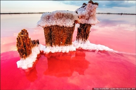 Rực rỡ khu đầm muối tuyệt đẹp ở bán đảo Crimean - 15 Đình Huế